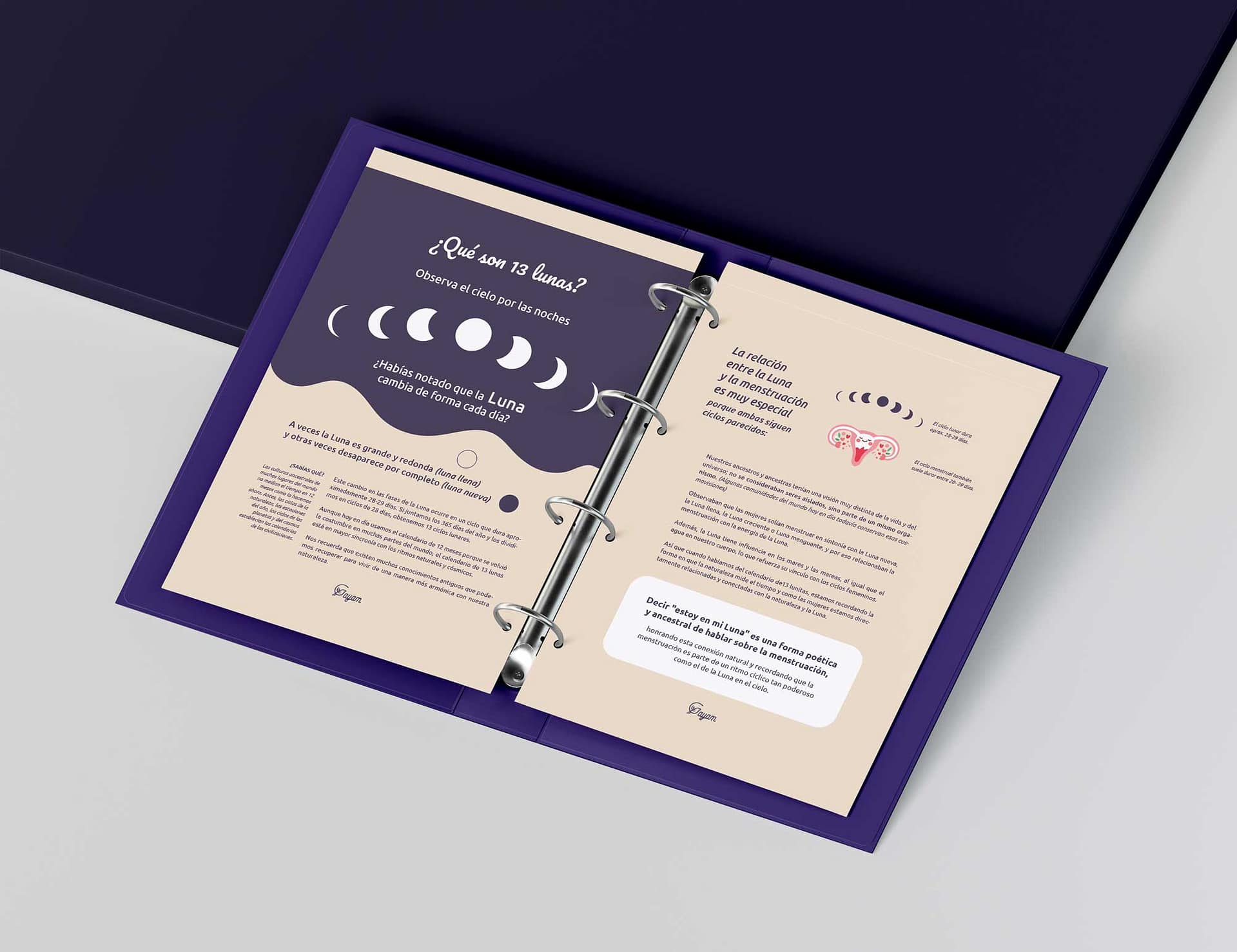 bitacora-ayam-adultas-3